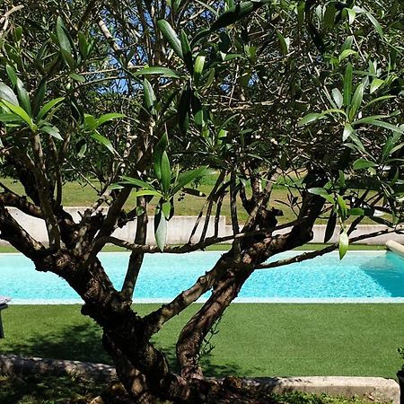 Chambre Saint Emilion - Le Clos D'Antan Les Artigues-de-Lussac 外观 照片