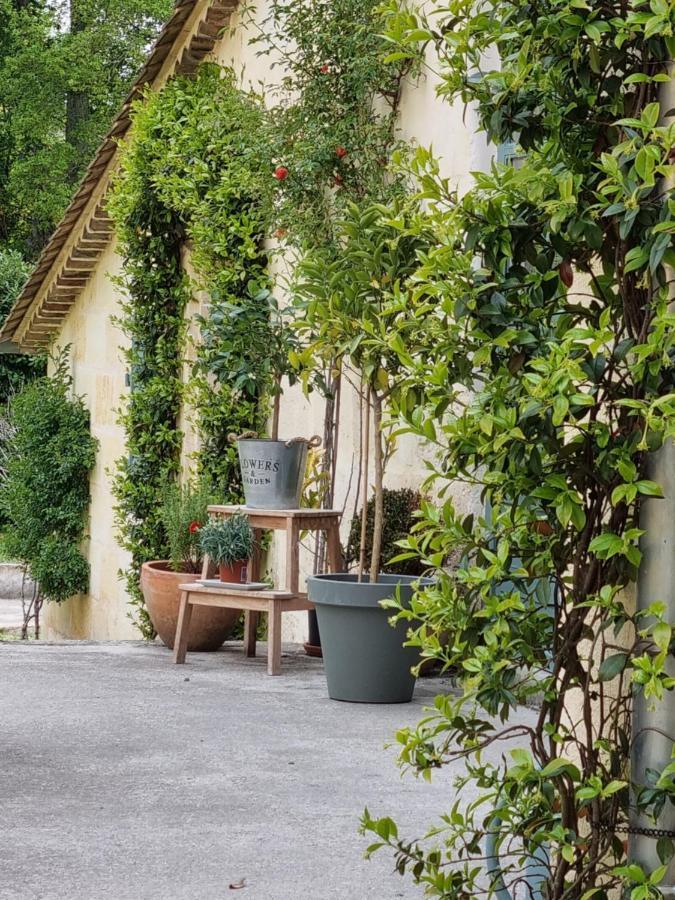 Chambre Saint Emilion - Le Clos D'Antan Les Artigues-de-Lussac 外观 照片