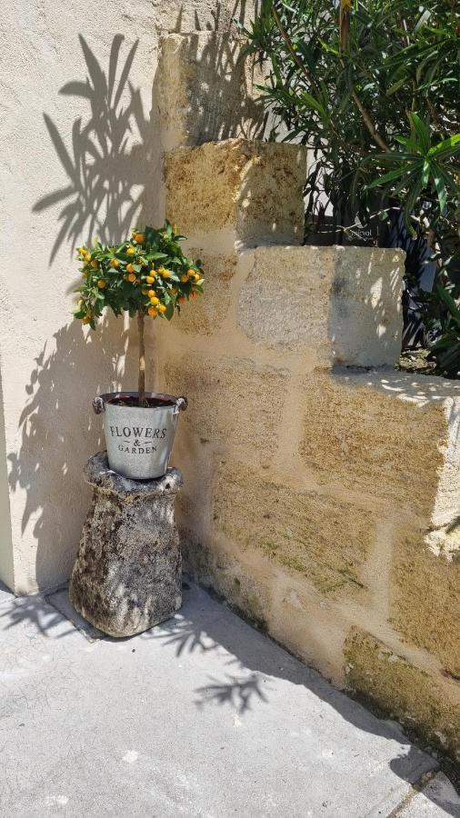 Chambre Saint Emilion - Le Clos D'Antan Les Artigues-de-Lussac 外观 照片