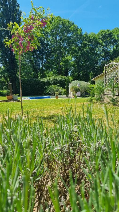 Chambre Saint Emilion - Le Clos D'Antan Les Artigues-de-Lussac 外观 照片